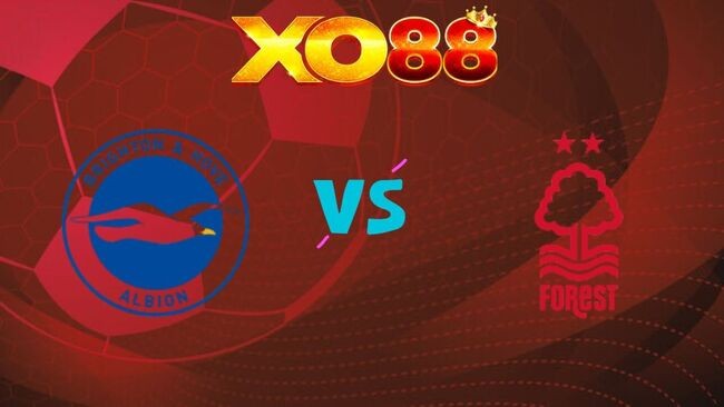 XO88 Nhận định soi kèo Brighton vs Nottingham, 21h00 ngày 01/03/2026