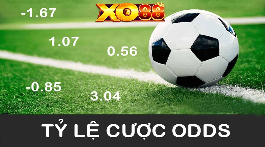 XO88 Tìm hiểu tỷ lệ Odds và 4 loại tỷ lệ Odds thông dụng hiện nay