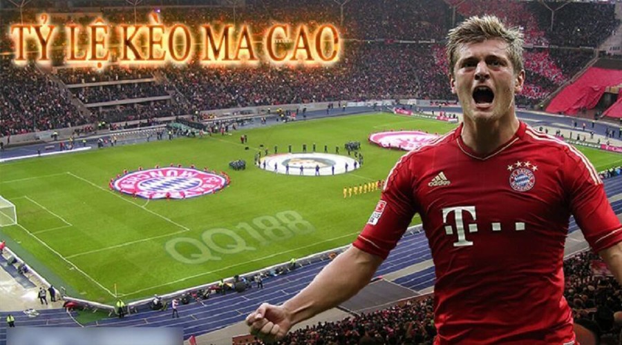 XO88 Cùng nhà cái XO88 tìm hiểu rõ hơn về tỷ lệ Ma Cao là gì?